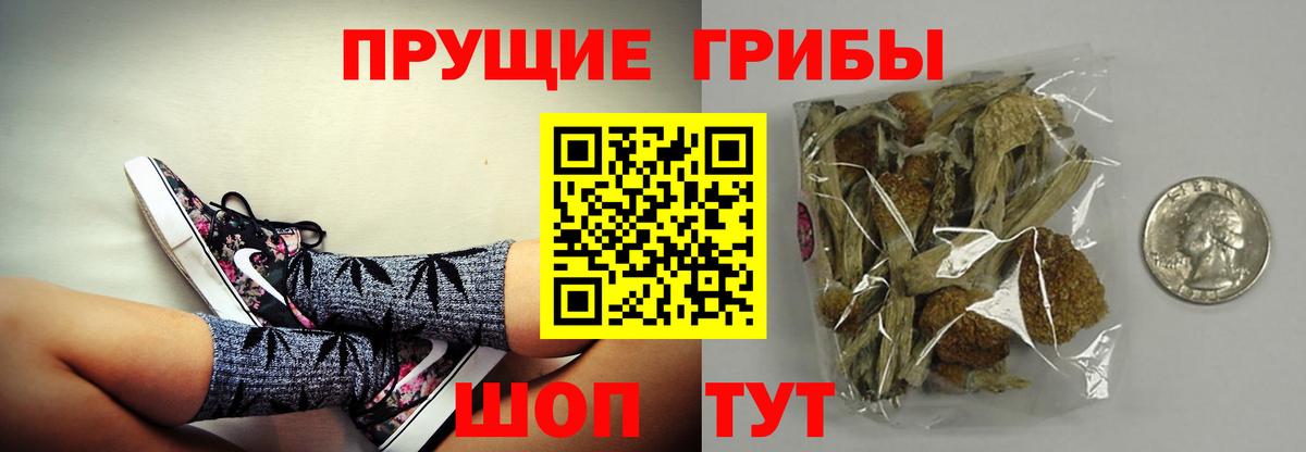 Псилоцибиновые грибы мухоморы  Галлюциногенные грибы Cubensis  Надым  Вход с VPN 